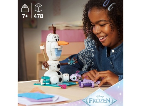 LEGO 43287 Disney - Piknik Olafa i Bruniego