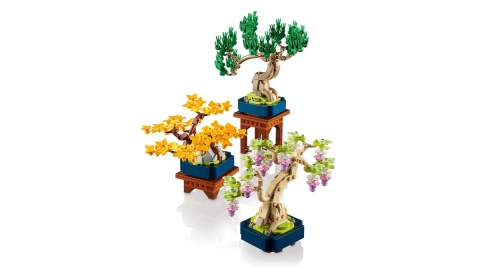 LEGO 10373 Botanical Collection - Małe drzewka Bonsai
