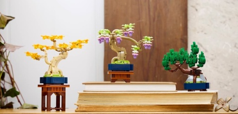 LEGO 10373 Botanical Collection - Małe drzewka Bonsai